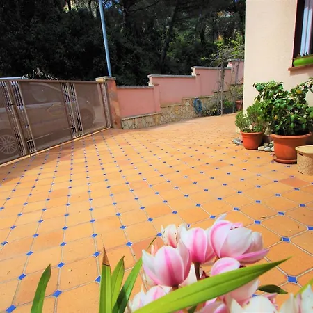 Villa Christine: Luxurious 17-person With Pool And Barbecue Lloret de Mar